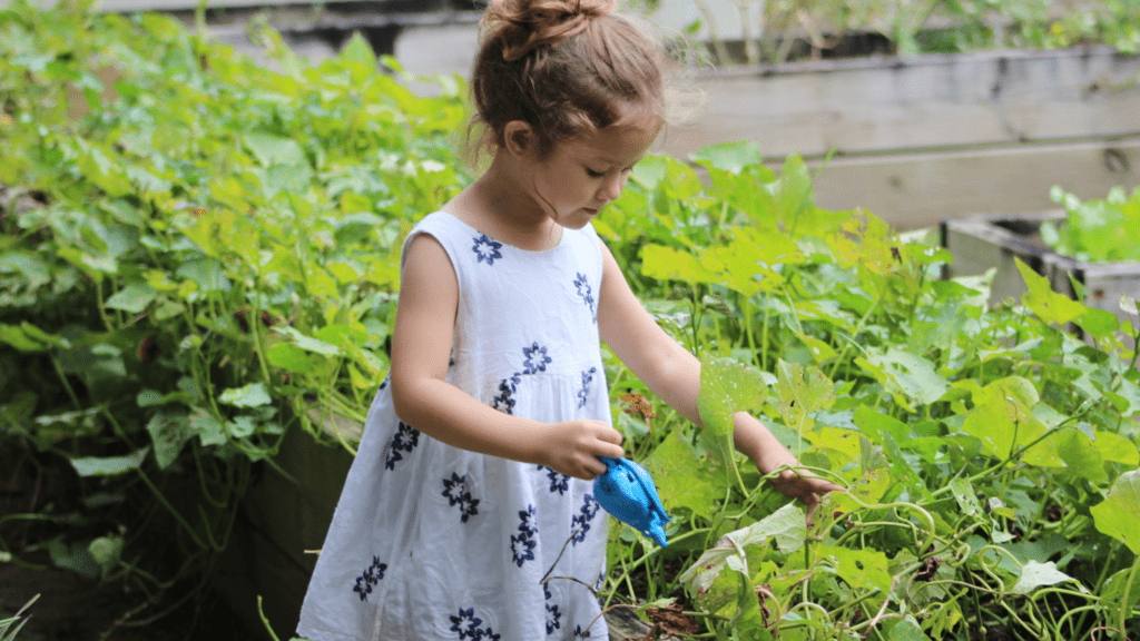 Ways to Teach Kids About Going Green