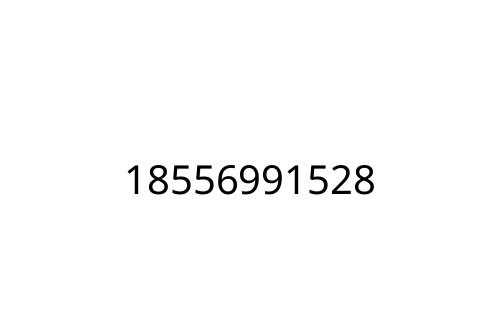 18556991528