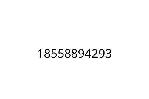 18558894293