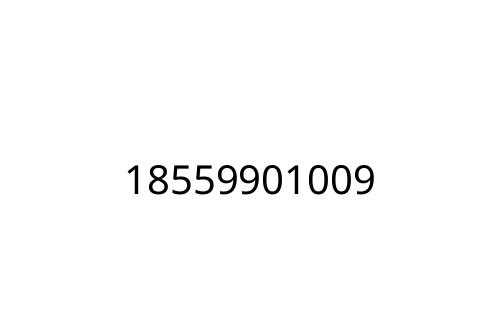 18559901009