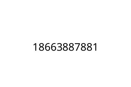 18663887881