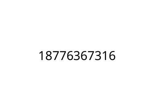 18776367316