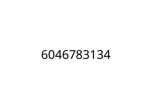 6046783134