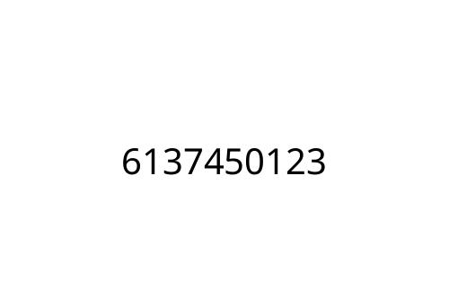 6137450123