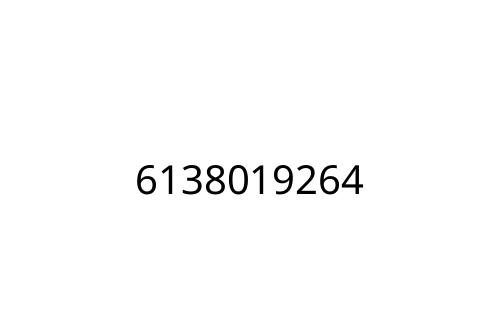 6138019264