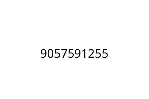 9057591255