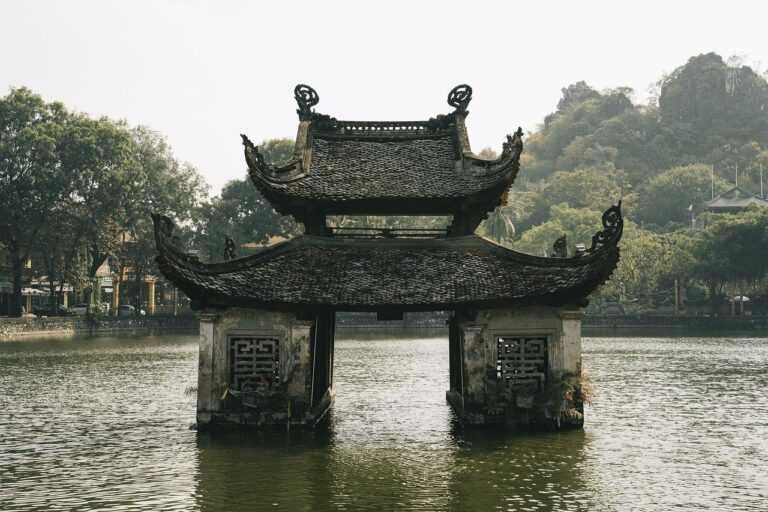 lyarianz portal