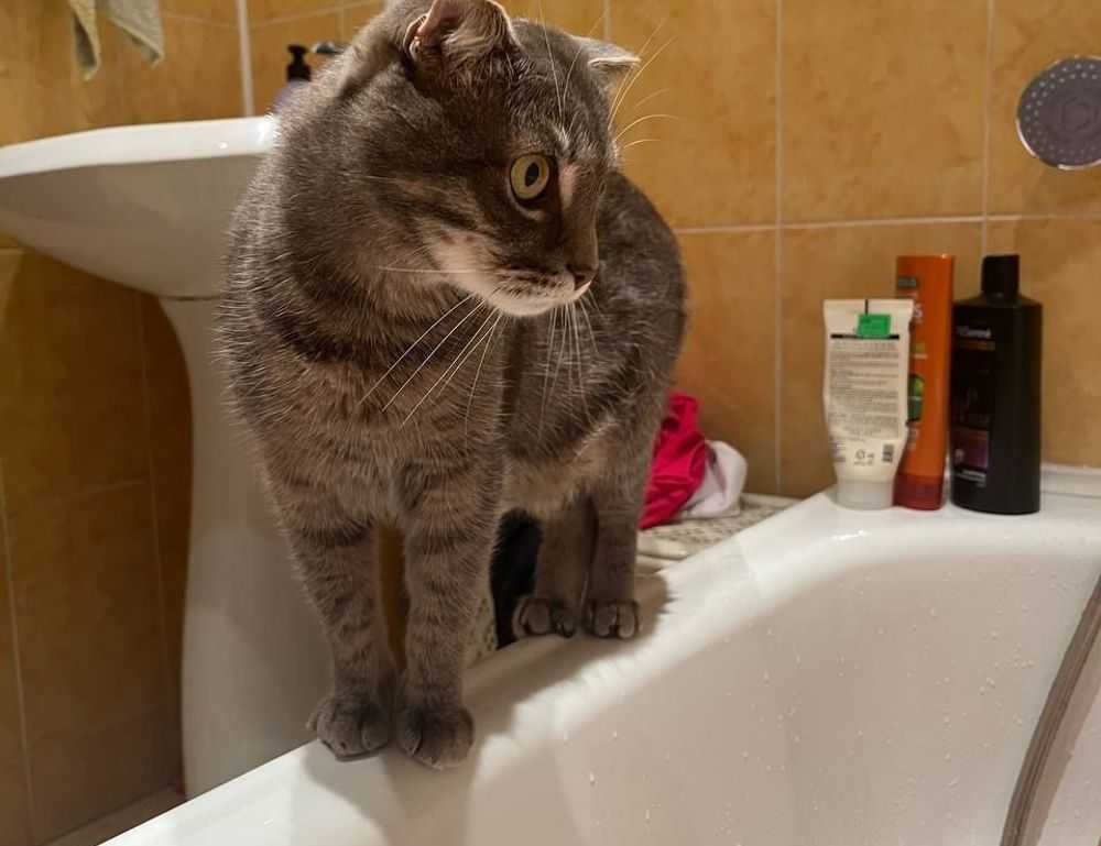 advice for family members of llblogfamily