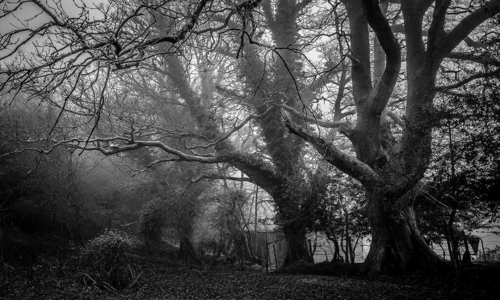 healthy hacks llblogfamily