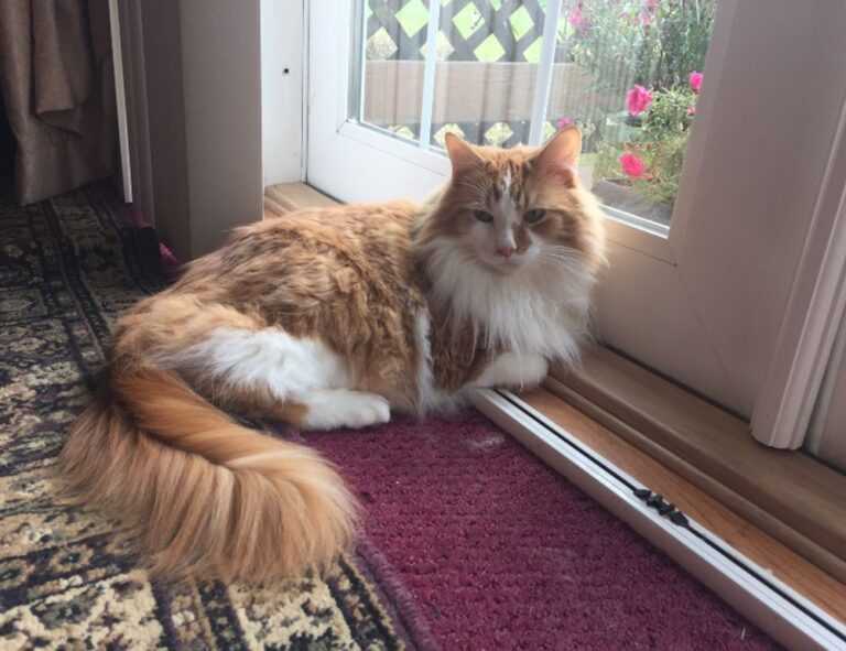 healthy nutrition for couples llblogfamily