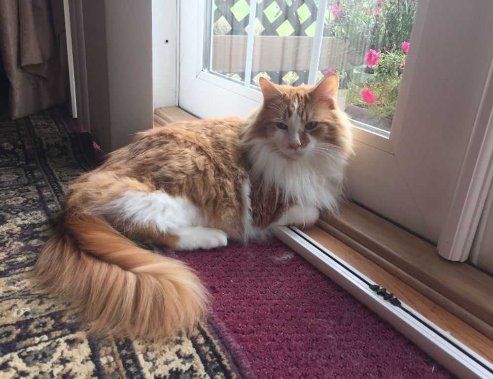 healthy nutrition for couples llblogfamily