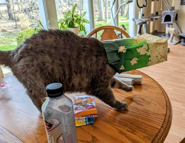 llblogfamily healthy nutrition by lovelolablog