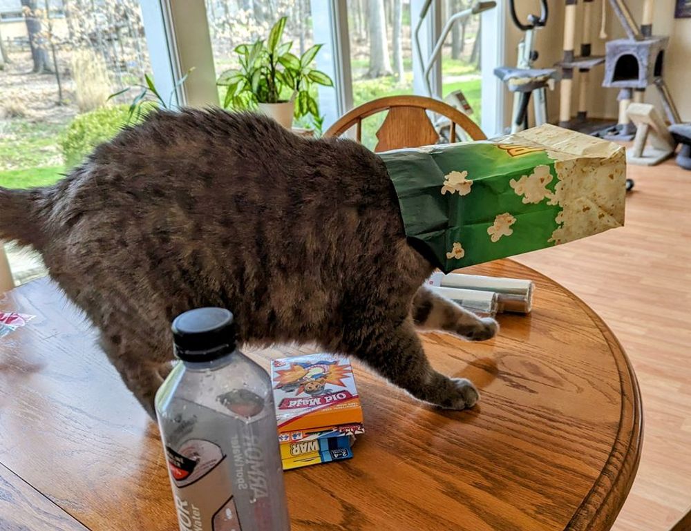 llblogfamily healthy nutrition by lovelolablog