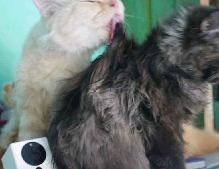 nutritional advice for couples llblogfamily