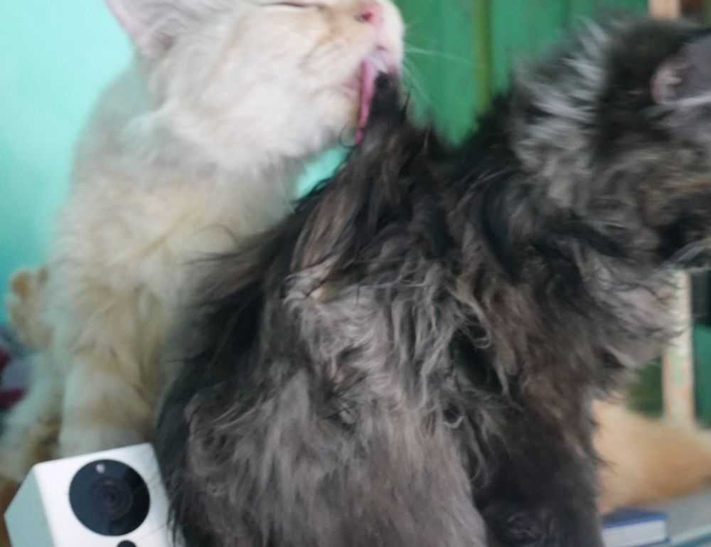 nutritional advice for couples llblogfamily