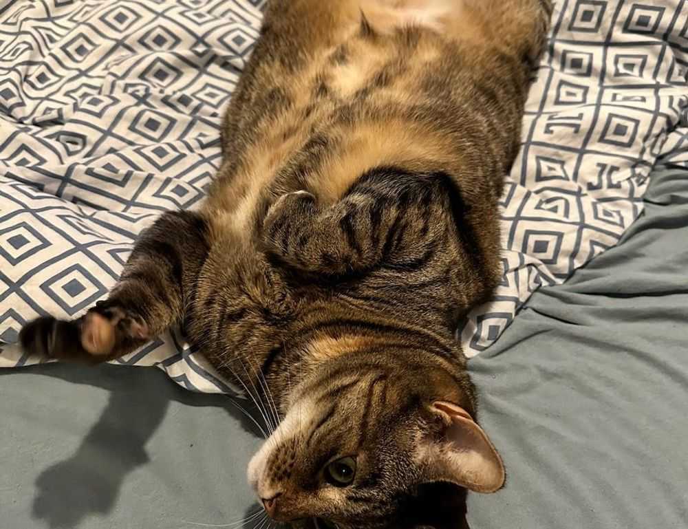 which advice should be given to parents who llblogfamily