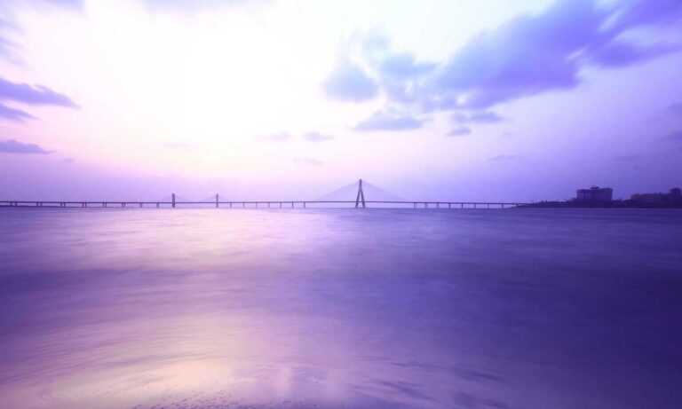 which currency used in beevitius