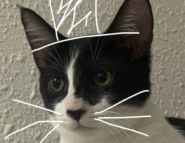 1080p badass itachi wallpaper