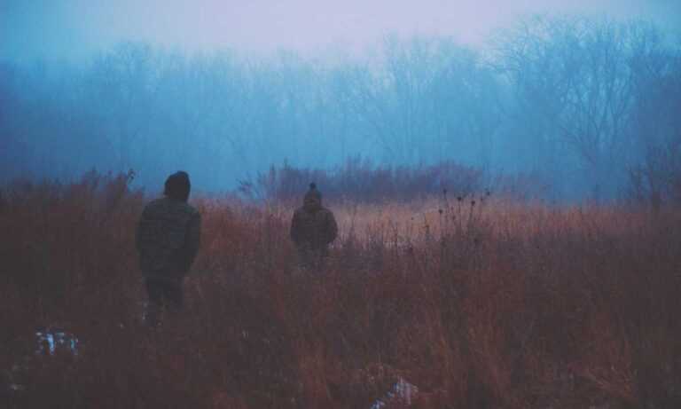 allianz alpha sat login