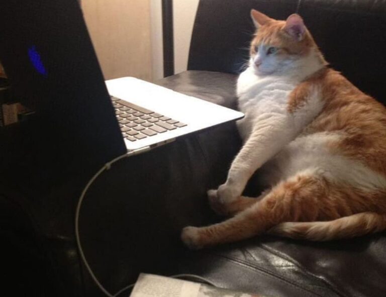 chika viral video twitter