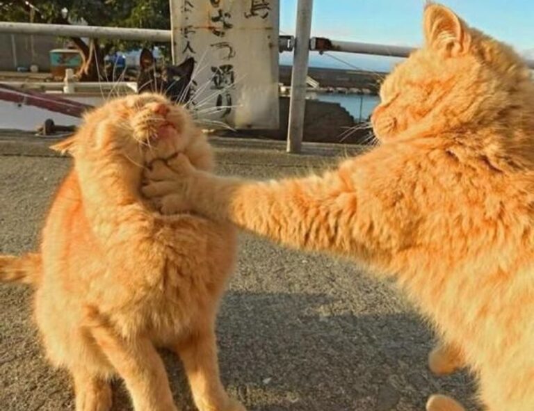 molly and jordy onlyfans