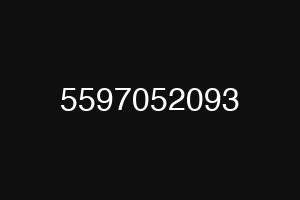 5597052093