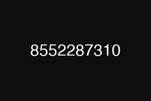 8552287310