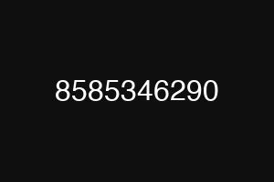 8585346290