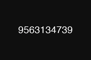 9563134739