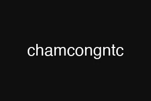 chamcongntc