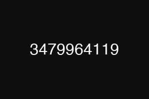 3479964119