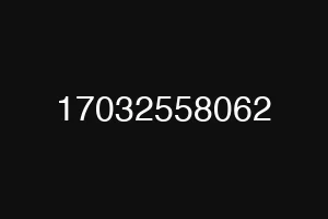 17032558062