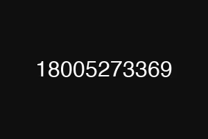 18005273369