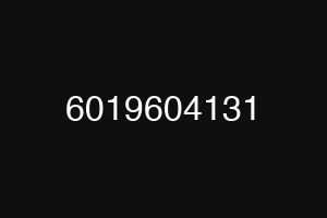 6019604131