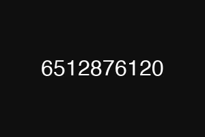 6512876120