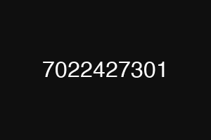 7022427301
