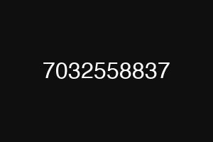 7032558837