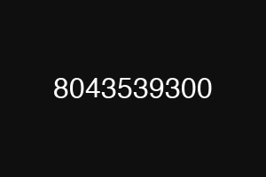 8043539300