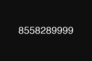 8558289999