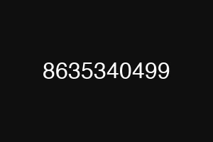 8635340499