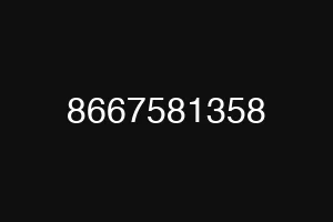 8667581358