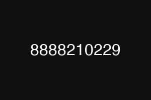 8888210229