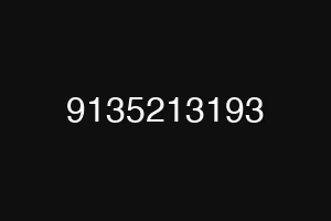 9135213193